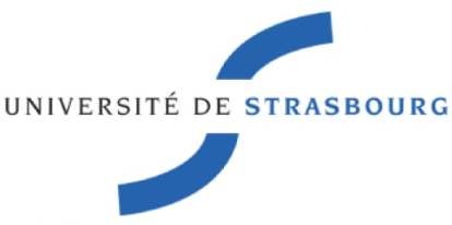 UNIVERSITY DE STRASBOURG STRASBOURG